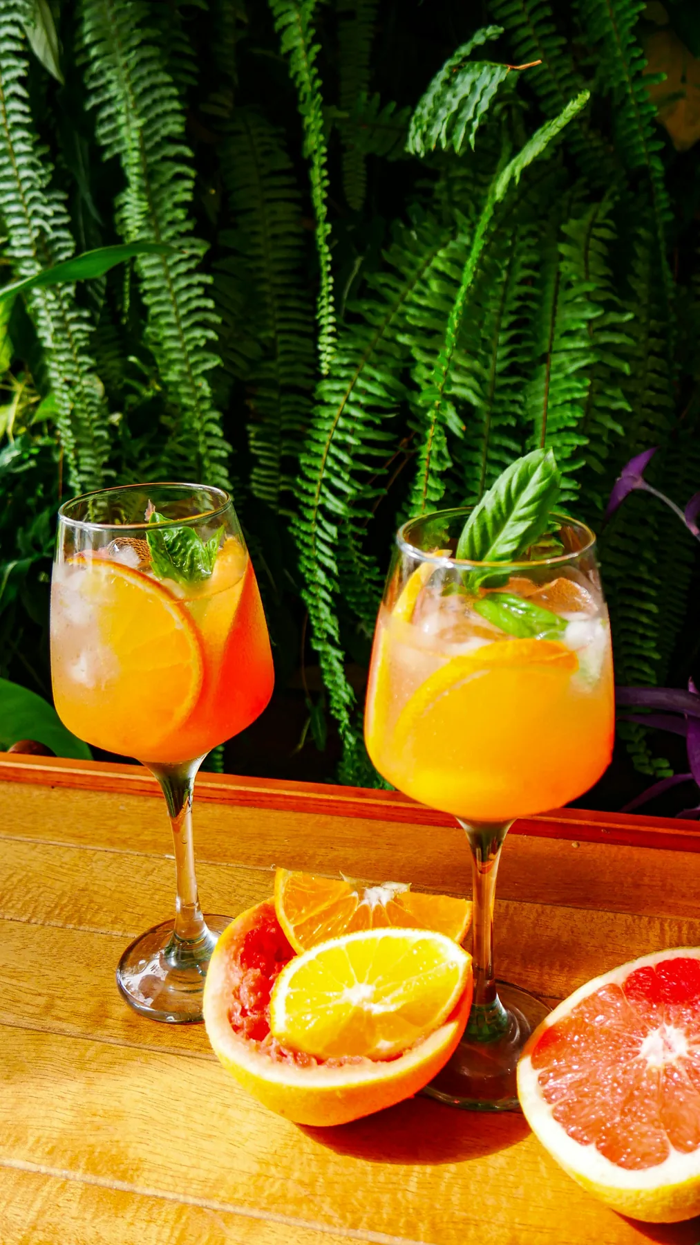 Two orange spritz cocktails garnished with citrus and basil beside a cut grapefruit
